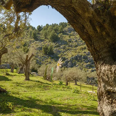 Landhaus Muleta De Ca S'hereu Puerto de Sóller