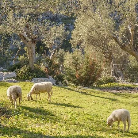 Lantställe Muleta De Ca S'hereu Puerto de Sóller